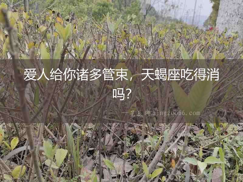 愛人給你諸多管束，天蝎座吃得消嗎？