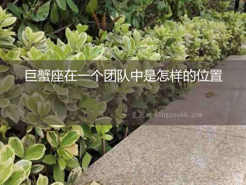 巨蟹座在一個團隊中是怎樣的位置