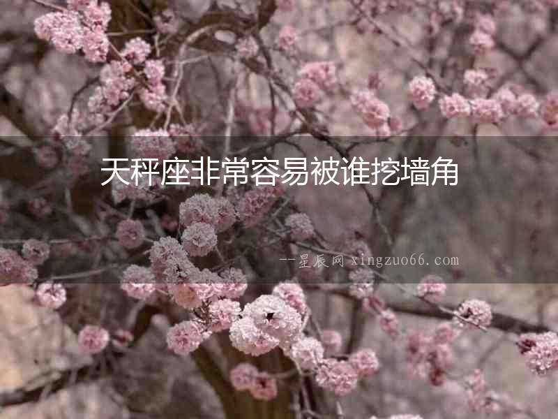天秤座非常容易被誰挖墻角