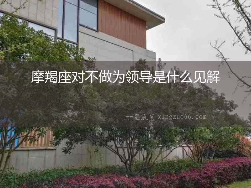 摩羯座對不做為領導是什么見解