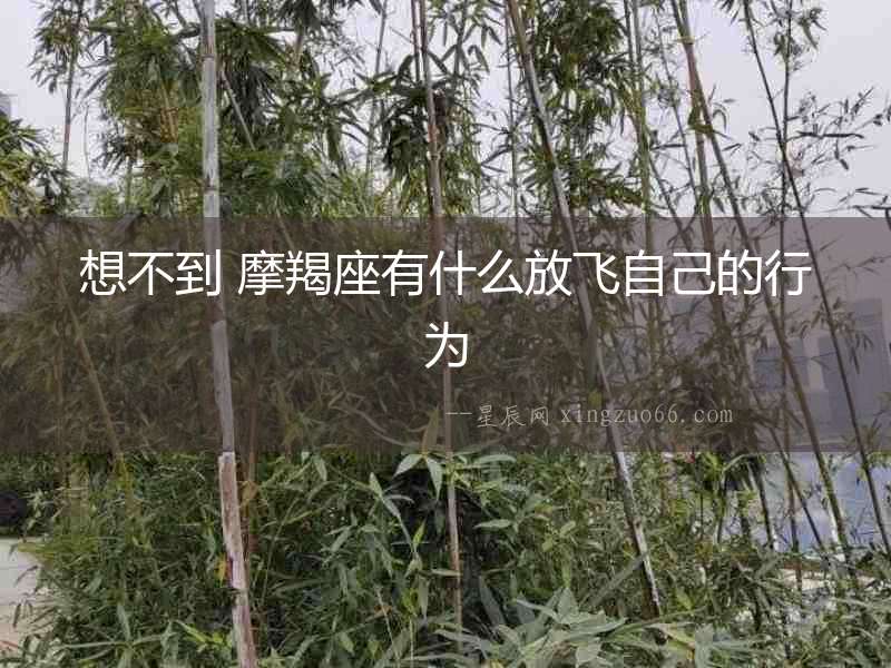 想不到 摩羯座有什么放飛自己的行為