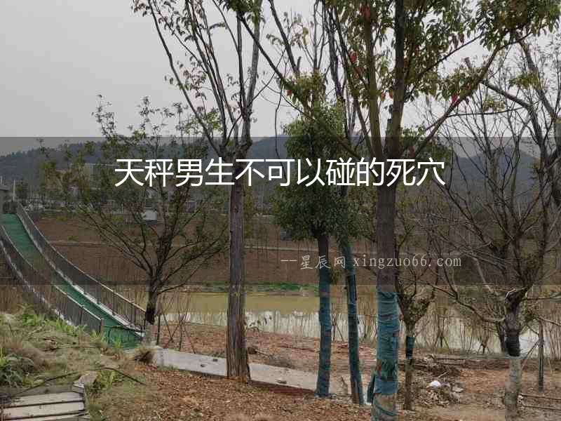 天秤男生不可以碰的死穴