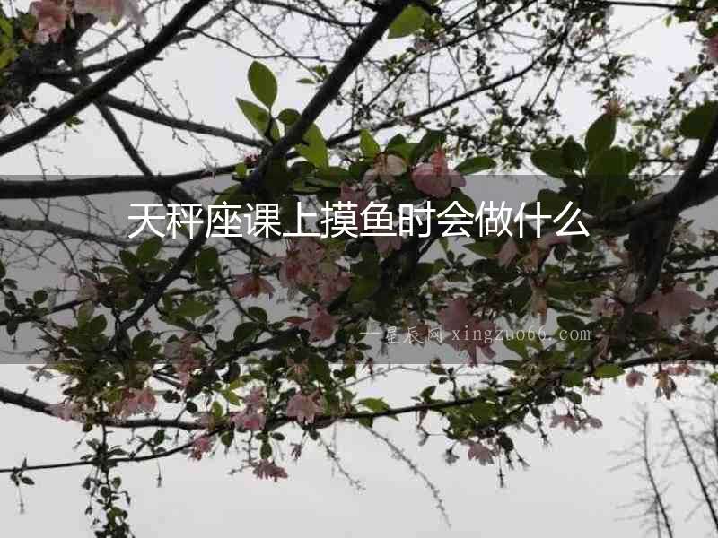 天秤座課上摸魚時會做什么