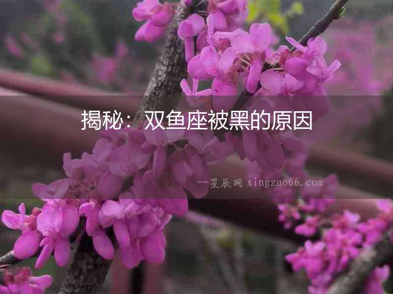 揭秘：雙魚座被黑的原因