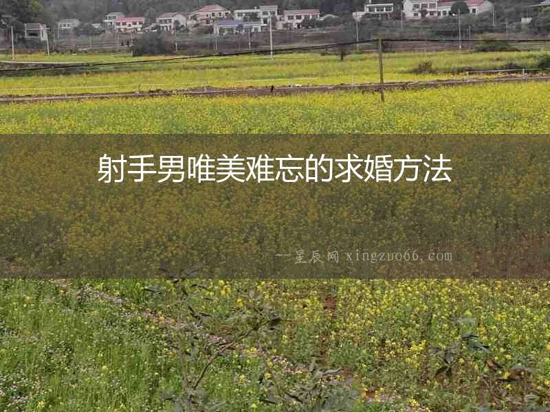射手男唯美難忘的求婚方法