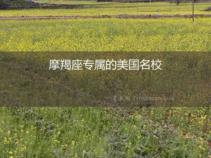 摩羯座專屬的美國名校