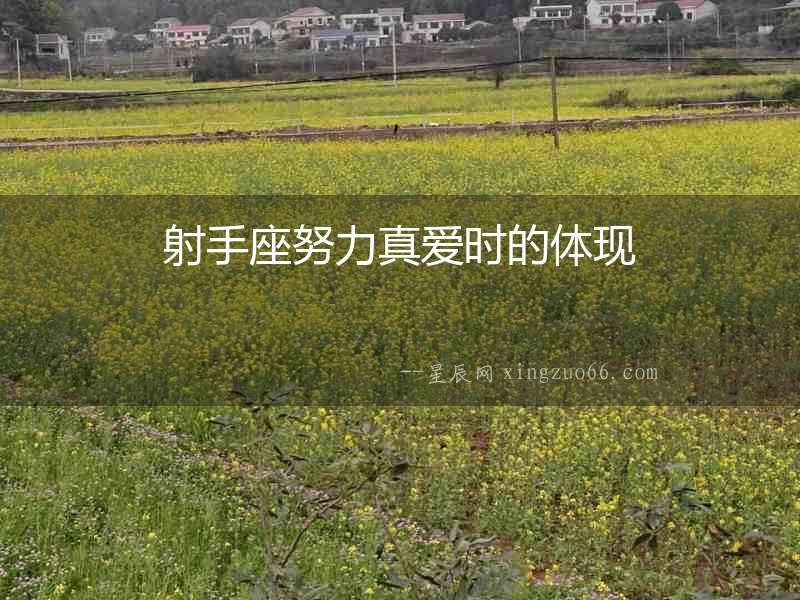 射手座努力真愛時的體現