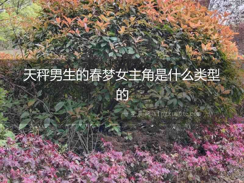 天秤男生的春夢女主角是什么類型的