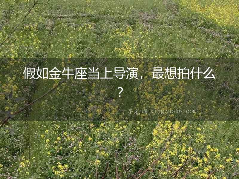 假如金牛座當上導演，最想拍什么？