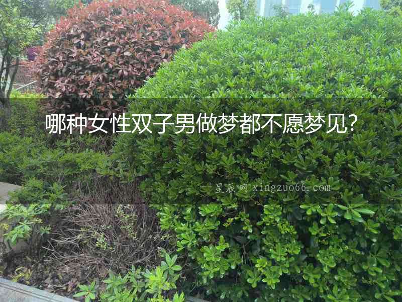 哪種女性雙子男做夢都不愿夢見？