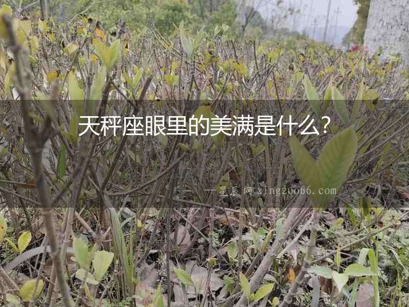 天秤座眼里的美滿是什么？