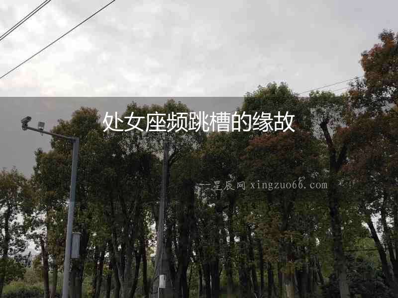 處女座頻跳槽的緣故
