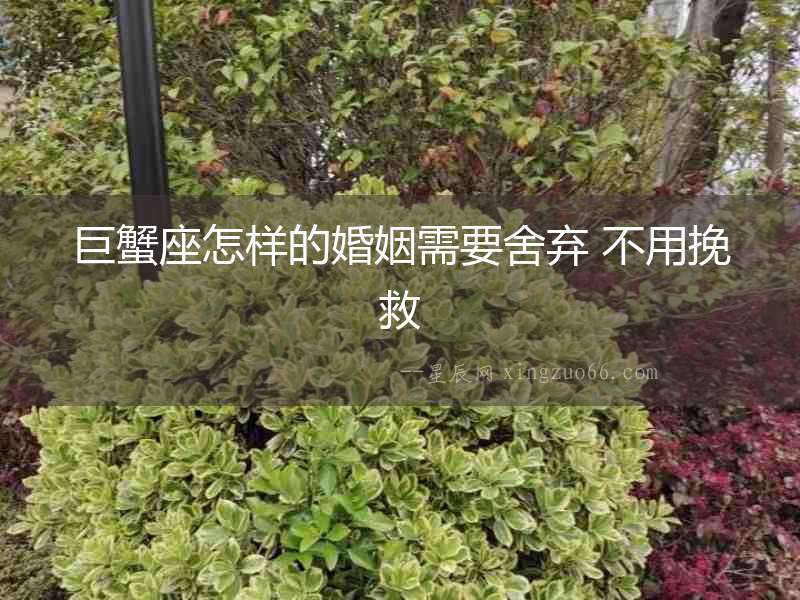 巨蟹座怎樣的婚姻需要舍棄 不用挽救