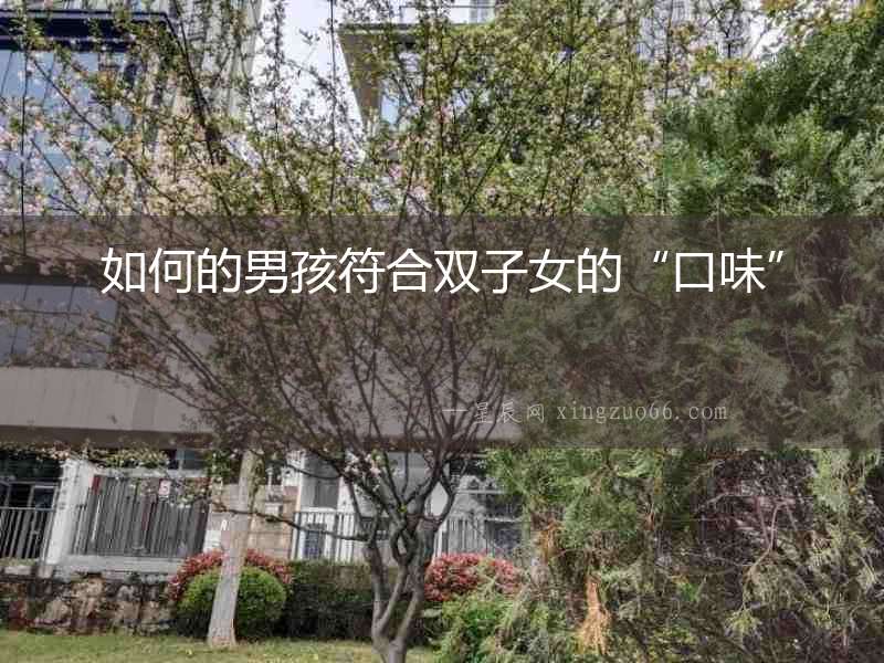如何的男孩符合雙子女的“口味”