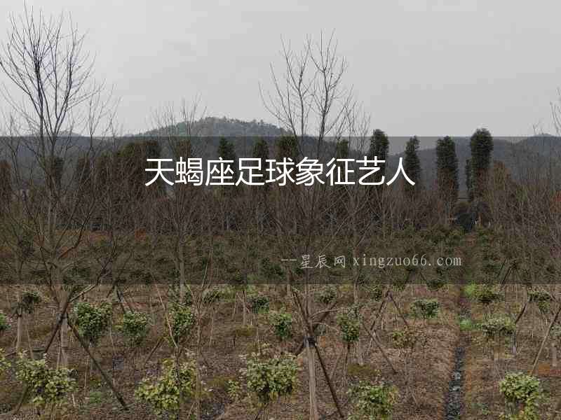 天蝎座足球象征藝人