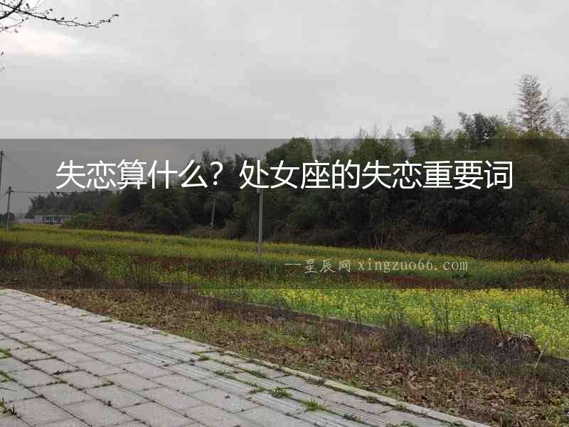 失戀算什么？處女座的失戀重要詞