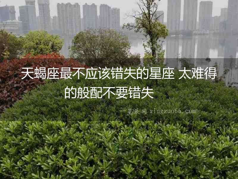 天蝎座最不應該錯失的星座 太難得的般配不要錯失  　　