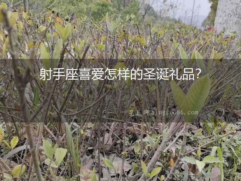 射手座喜愛怎樣的圣誕禮品？
