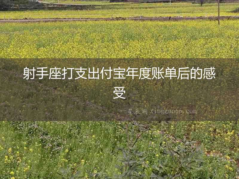 射手座打支出付寶年度賬單后的感受