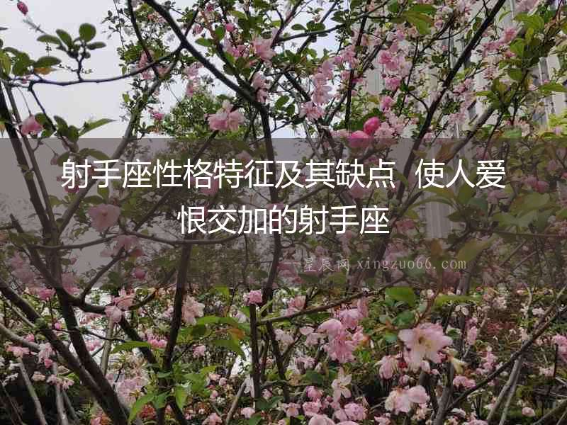 射手座性格特征及其缺點  使人愛恨交加的射手座