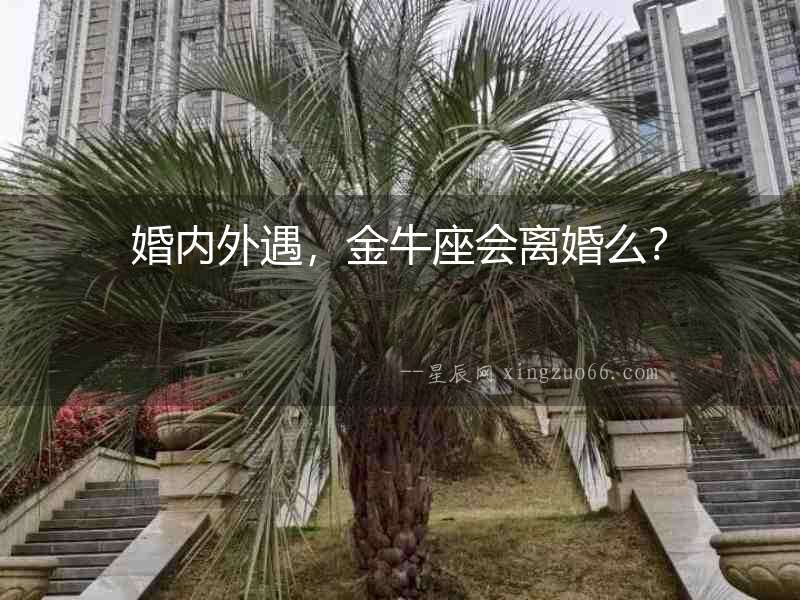 婚內外遇，金牛座會離婚么？