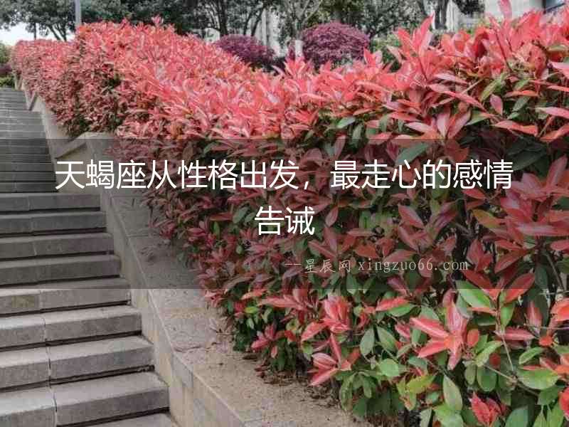 天蝎座從性格出發，最走心的感情告誡