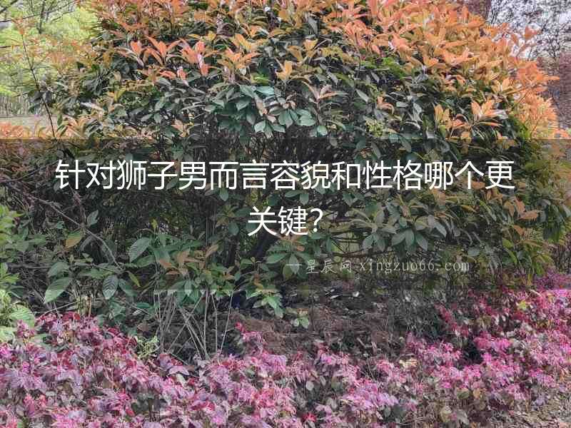針對獅子男而言容貌和性格哪個更關鍵？