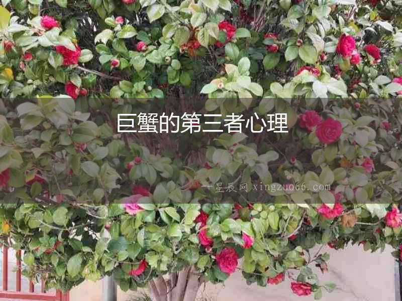 巨蟹的第三者心理
