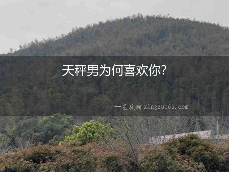 天秤男為何喜歡你？