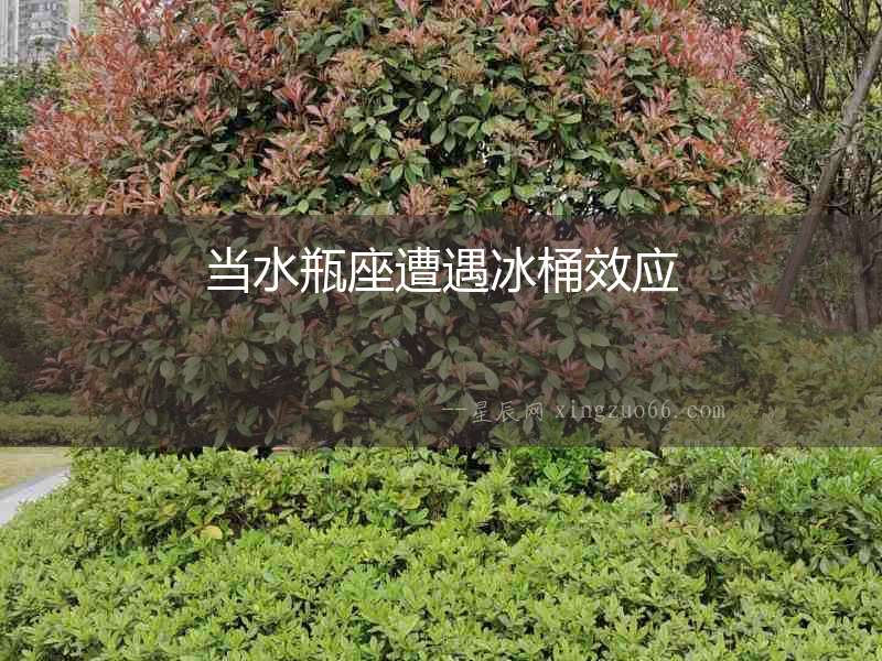 當水瓶座遭遇冰桶效應