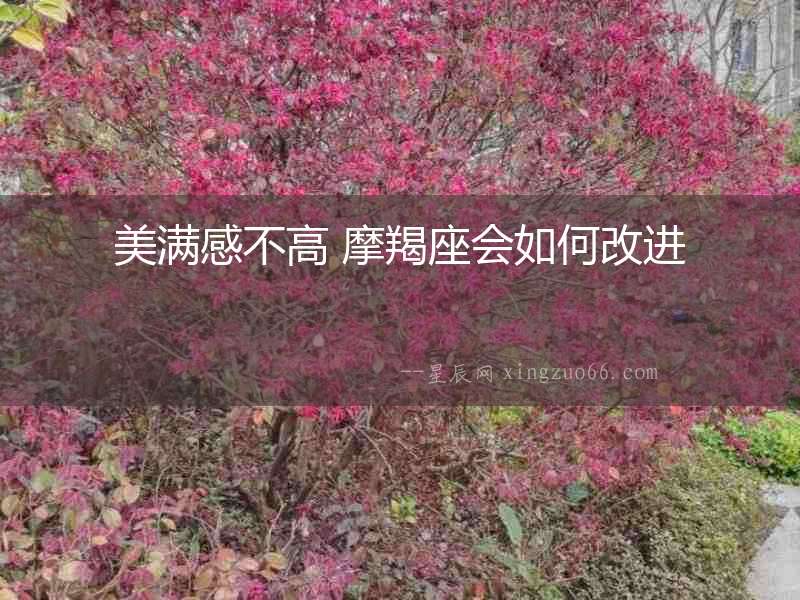 美滿感不高 摩羯座會(huì)如何改進(jìn)