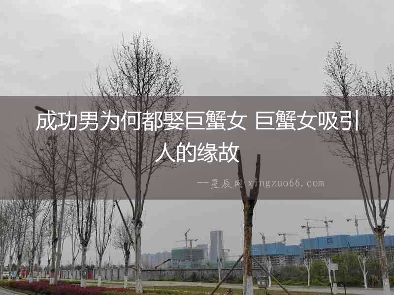 成功男為何都娶巨蟹女 巨蟹女吸引人的緣故