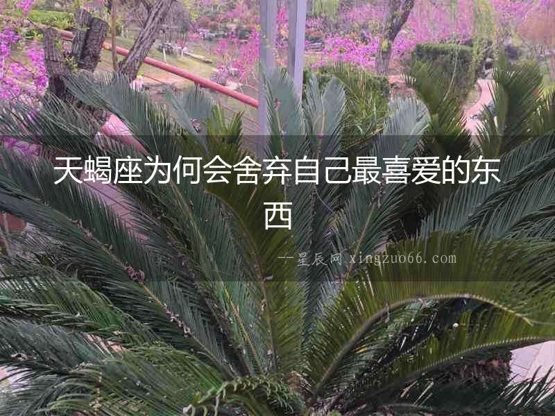天蝎座為何會舍棄自己最喜愛的東西