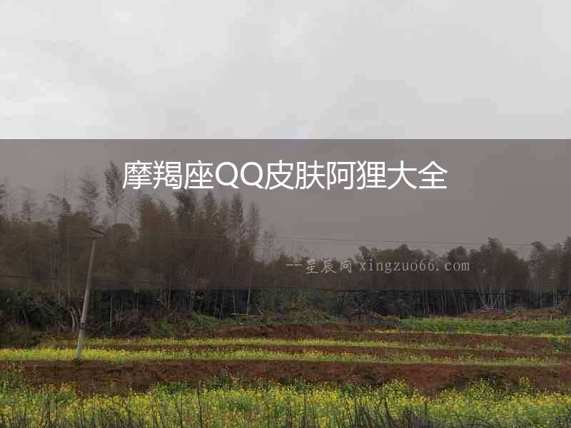 摩羯座QQ皮膚阿貍大全