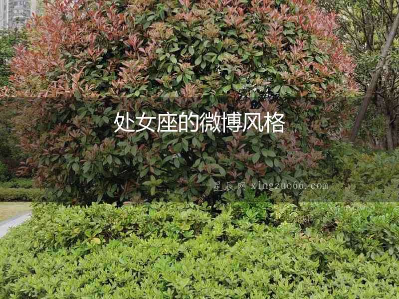 處女座的微博風格