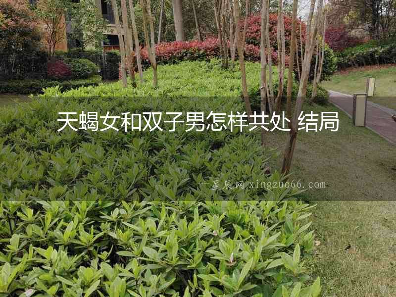 天蝎女和雙子男怎樣共處 結(jié)局