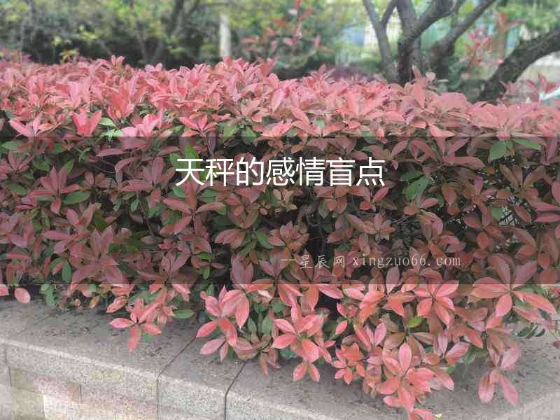 天秤的感情盲點