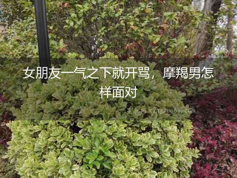 女朋友一氣之下就開(kāi)罵，摩羯男怎樣面對(duì)