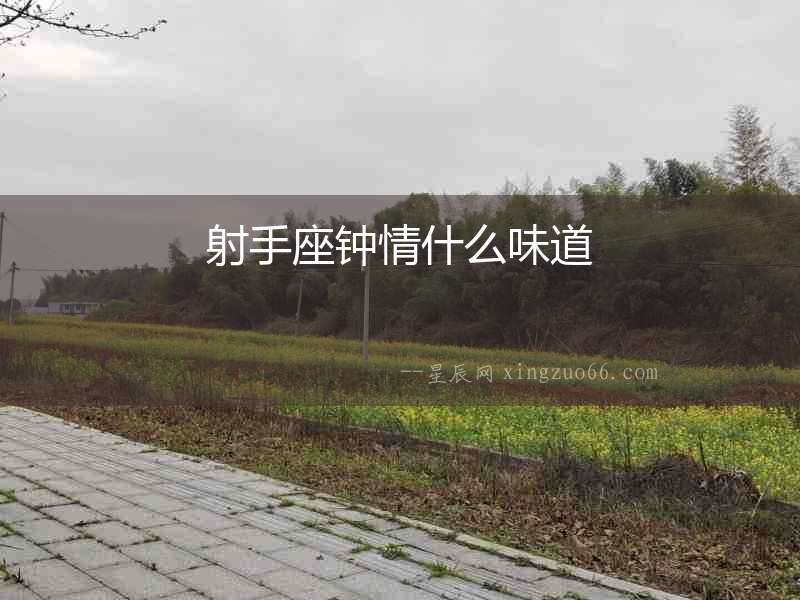 射手座鐘情什么味道
