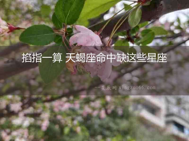 掐指一算 天蝎座命中缺這些星座
