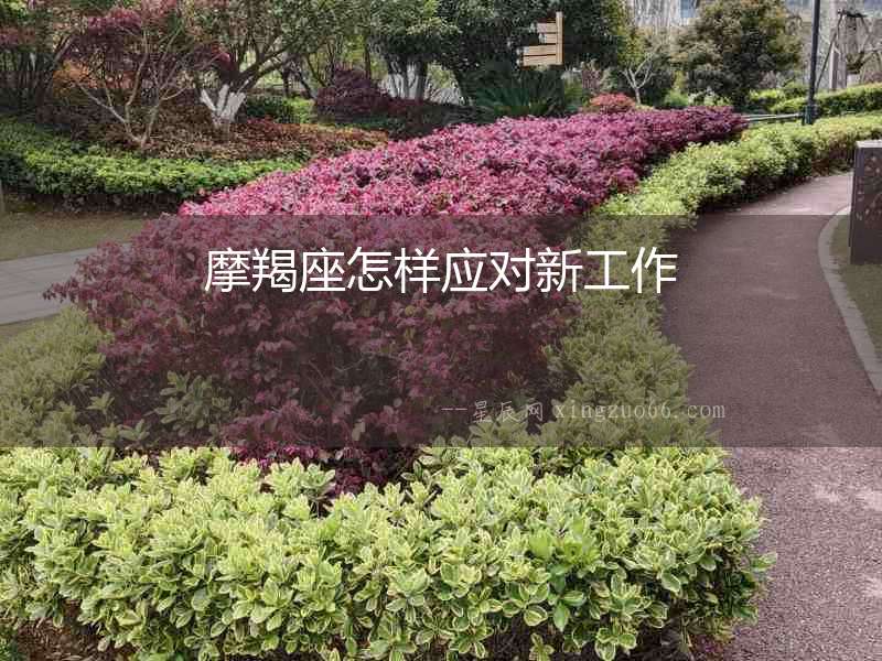 摩羯座怎樣應對新工作