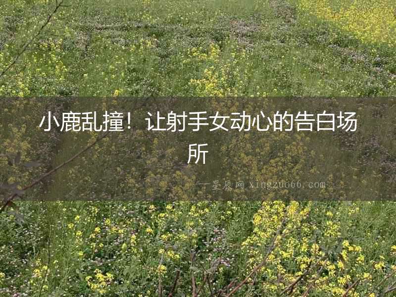 小鹿亂撞！讓射手女動心的告白場所