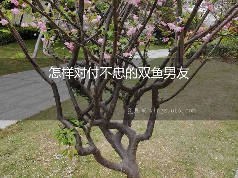 怎樣對付不忠的雙魚男友