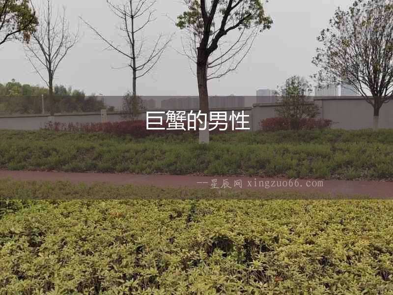 巨蟹的男性