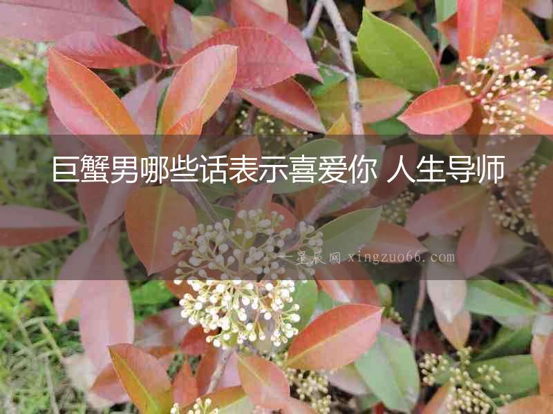 巨蟹男哪些話表示喜愛你 人生導師