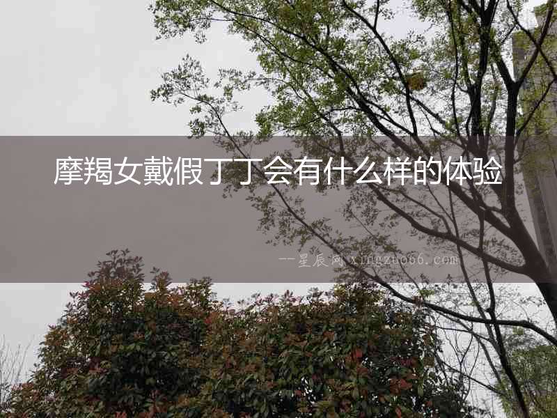 摩羯女戴假丁丁會有什么樣的體驗