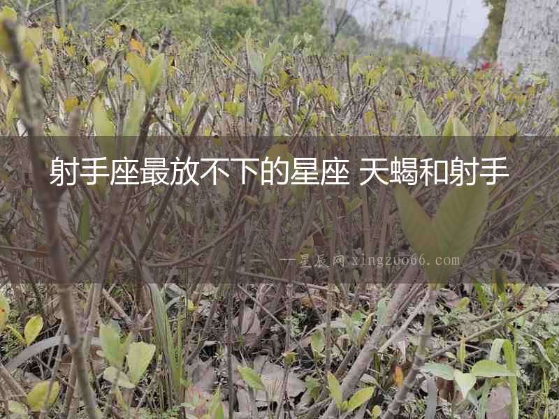 射手座最放不下的星座 天蝎和射手