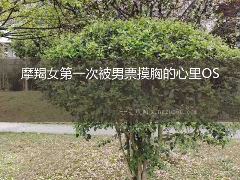 摩羯女第一次被男票摸胸的心里OS