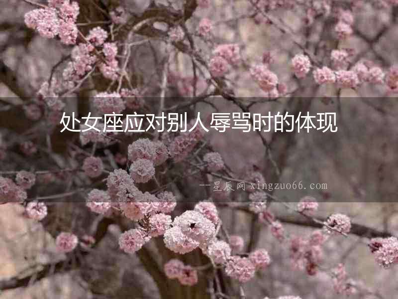 處女座應對別人辱罵時的體現
