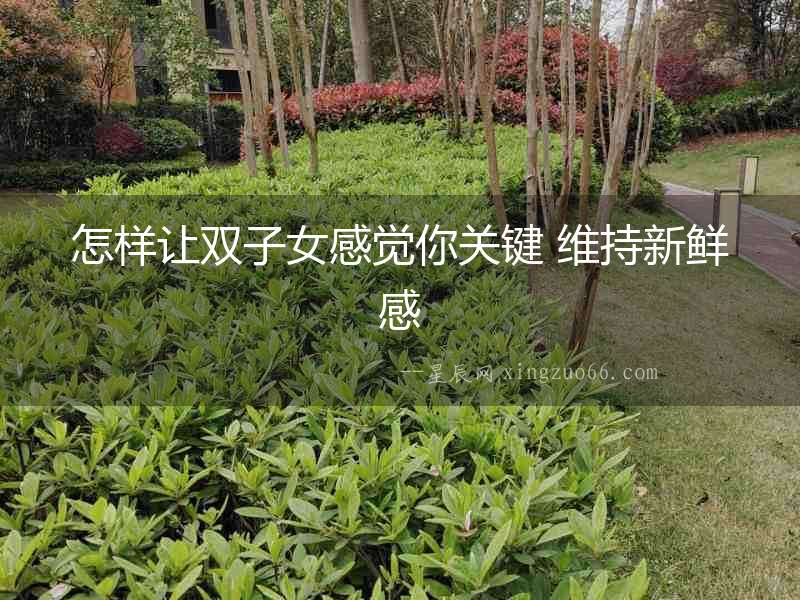 怎樣讓雙子女感覺你關(guān)鍵 維持新鮮感